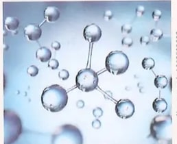 Figura 1 de Ciencias Naturales · 8 EGB · 2025