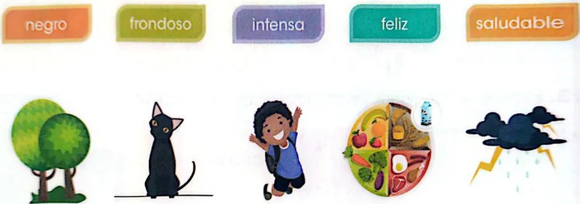 Figura 3 de Lengua Y Literatura · 3 EGB · 2025