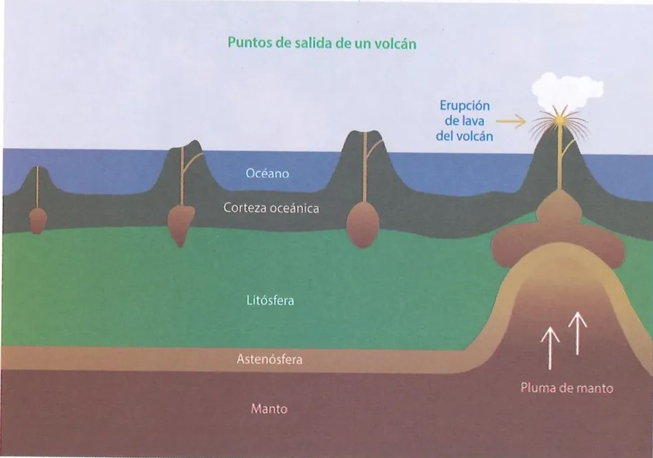 Figura 2 de Ciencias Naturales · 10 EGB · 2024