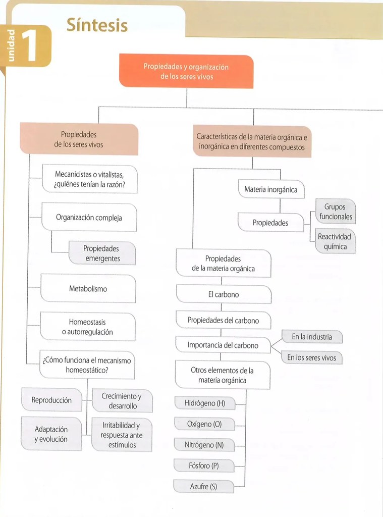 Figura 2 de Ciencias Naturales · 8 EGB · 2025