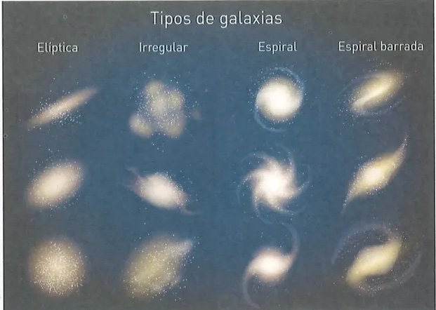 Figura 2 de Ciencias Naturales · 9 EGB · 2024