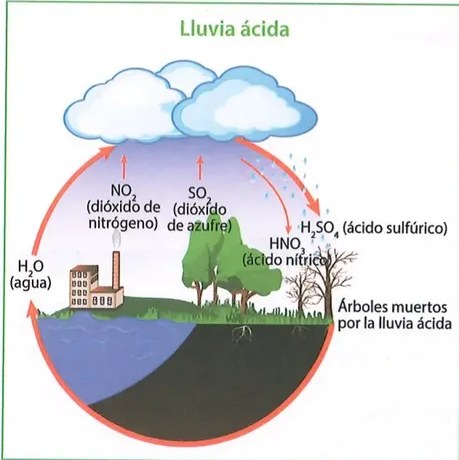 Figura 2 de Ciencias Naturales · 8 EGB · 2025