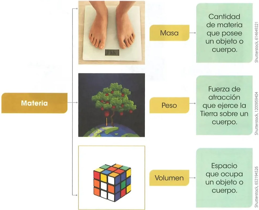 Figura 3 de Ciencias Naturales · 2 EGB · 2025