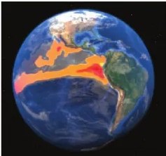 Figura 3 de Ciencias Naturales · 6 EGB · 2025