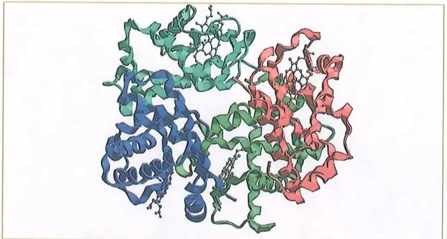 Figura 3 de Ciencias Naturales · 10 EGB · 2024