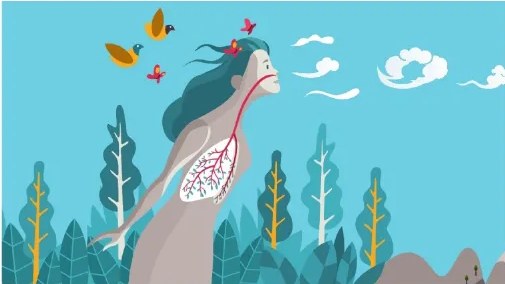 Figura 3 de Ciencias Naturales · 6 EGB · 2025
