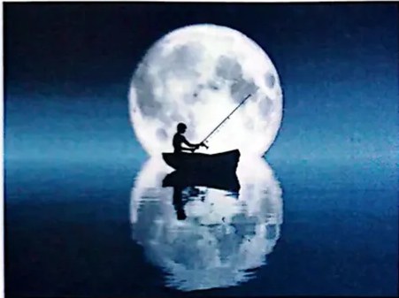 Cultivos bajo el cielo nocturno