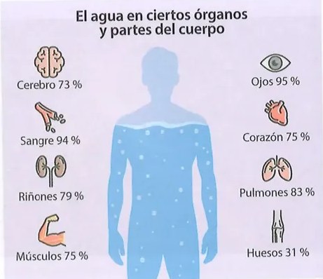 Figura 2 de Ciencias Naturales · 8 EGB · 2025