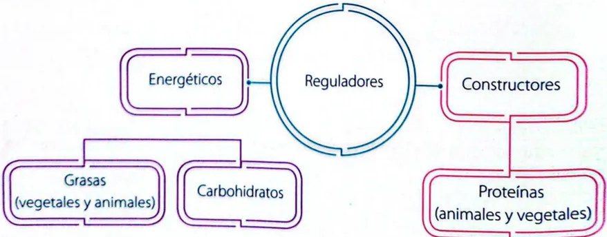 Figura 6 de Ciencias Naturales · 4 EGB · 2025