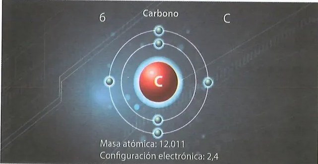 Figura 4 de Ciencias Naturales · 8 EGB · 2025