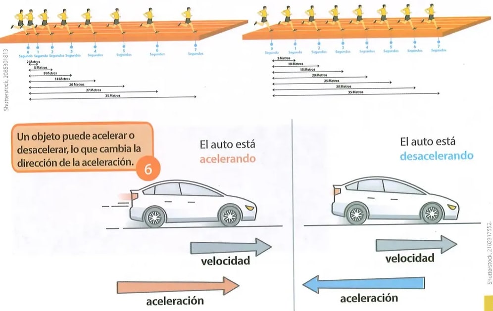 Figura 3 de Ciencias Naturales · 8 EGB · 2025