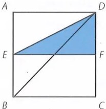 Figura 6 de Matematica · 9 EGB · 2025