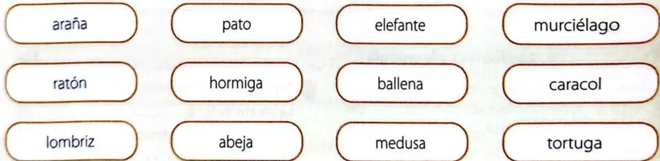 Figura 3 de Ciencias Naturales · 4 EGB · 2025