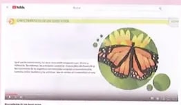 Figura 1 de Ciencias Naturales · 8 EGB · 2025