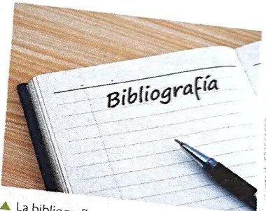 Figura 4 de Lengua Y Literatura · 1 EGB · 2024
