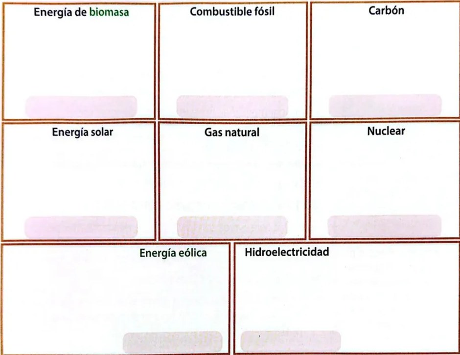 Figura 2 de Ciencias Naturales · 4 EGB · 2025
