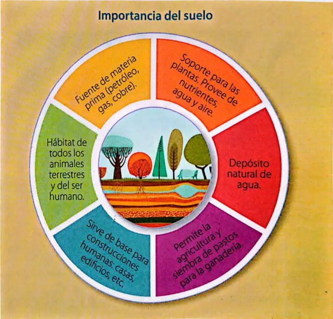 Figura 3 de Ciencias Naturales · 4 EGB · 2025