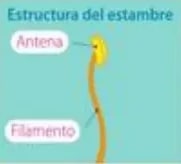 Figura 4 de Ciencias Naturales · 5 EGB · 2024