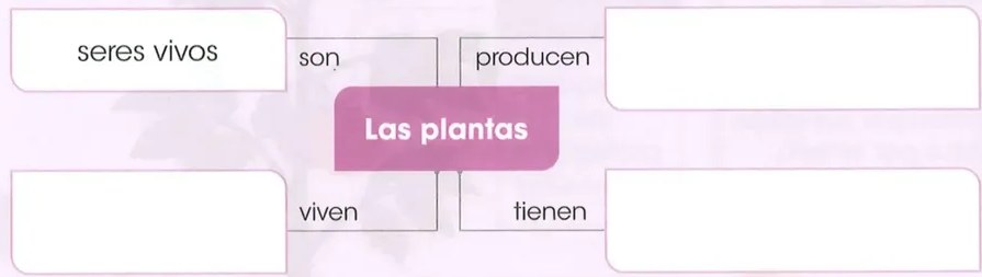 Figura 3 de Ciencias Naturales · 2 EGB · 2025