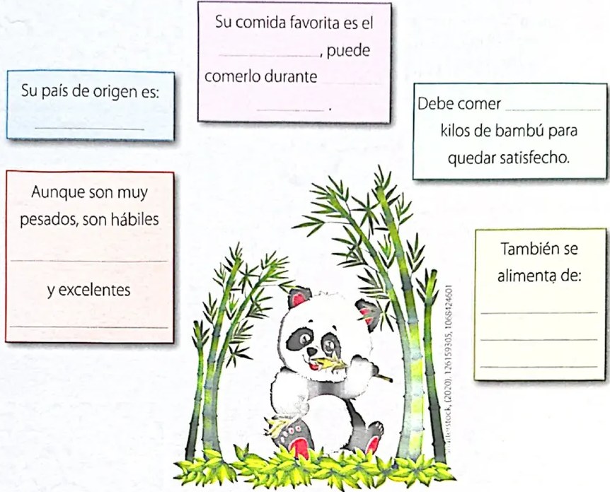 Figura 2 de Lengua Y Literatura · 4 EGB · 2024