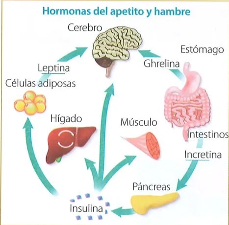 Figura 2 de Ciencias Naturales · 7 EGB · 2024