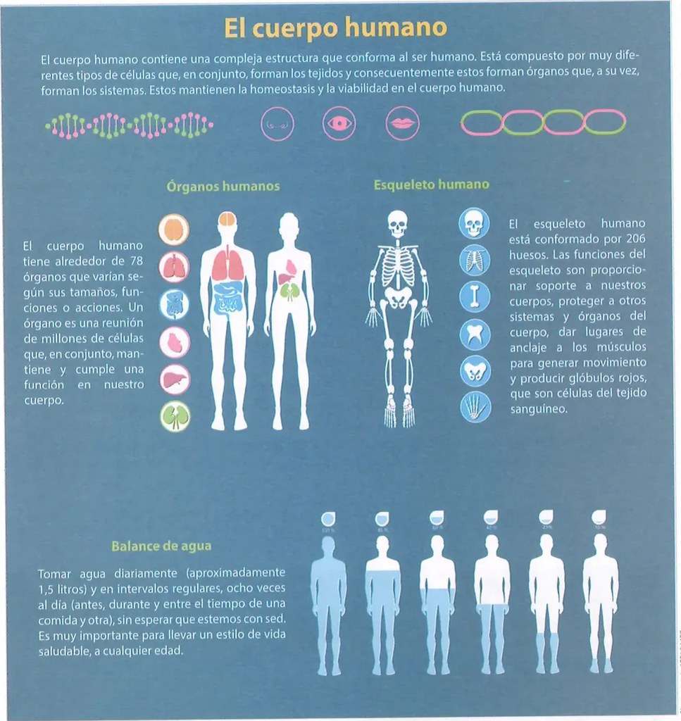 Figura 2 de Ciencias Naturales · 10 EGB · 2024