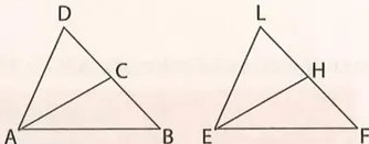 Figura 6 de Matematica · 10 EGB · 2025
