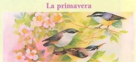 Figura 3 de Lengua Y Literatura · 10 EGB · 2025