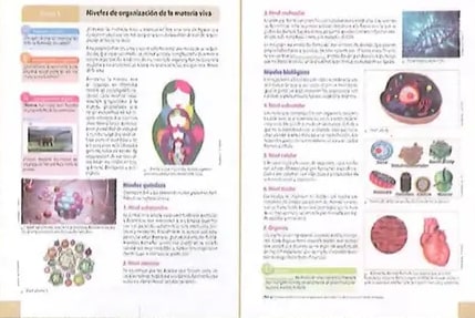 Figura 3 de Ciencias Naturales · 8 EGB · 2025