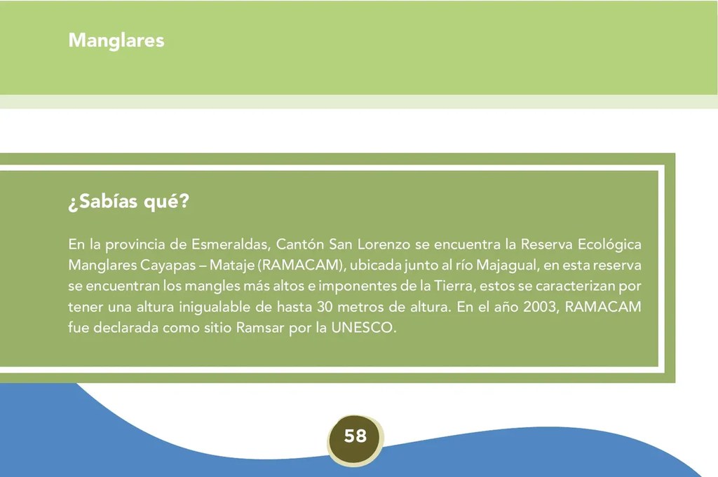 Figura 2 de Etnoeducacion · 8 EGB · 2024