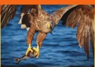 Figura 5 de Ciencias Naturales · 6 EGB · 2025