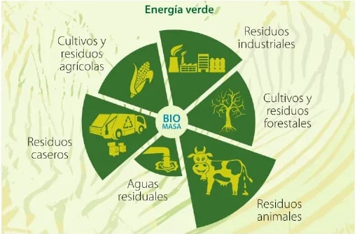 Figura 2 de Ciencias Naturales · 6 EGB · 2025