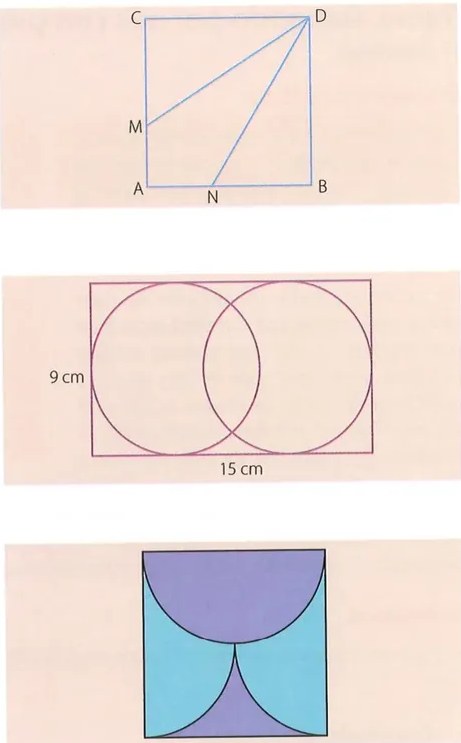 Figura 2 de Matematica · 8 EGB · 2025