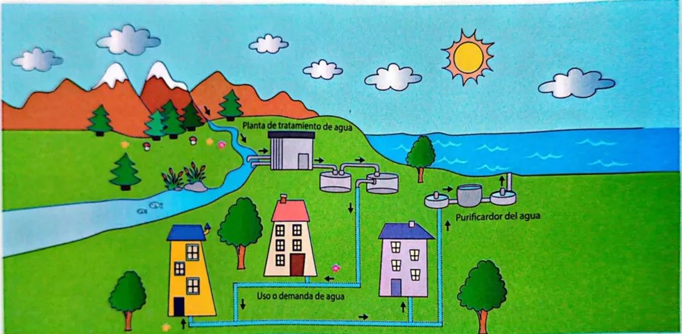 Figura 2 de Ciencias Naturales · 4 EGB · 2025