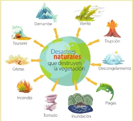 Diagrama circular/esquema de causas naturales de la deforestación: derrumbe, viento/nieve, erupción, descongelamiento, plagas, inundación, incendio, tornado, grietas.