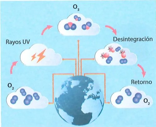 Figura 3 de Ciencias Naturales · 7 EGB · 2024