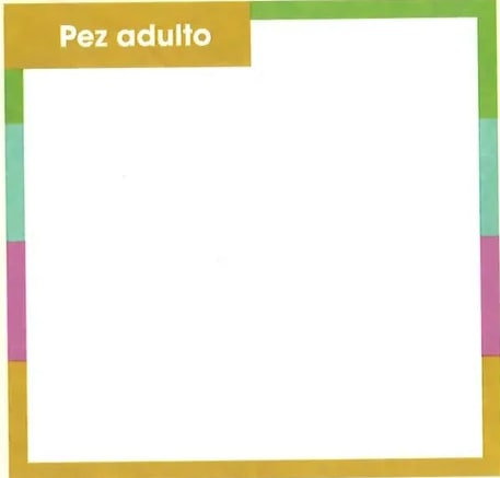 Dos recuadros vacíos con marco de colores para dibujar la larva de pez y el pez adulto.