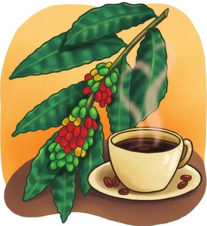 Ilustración alusiva al café.