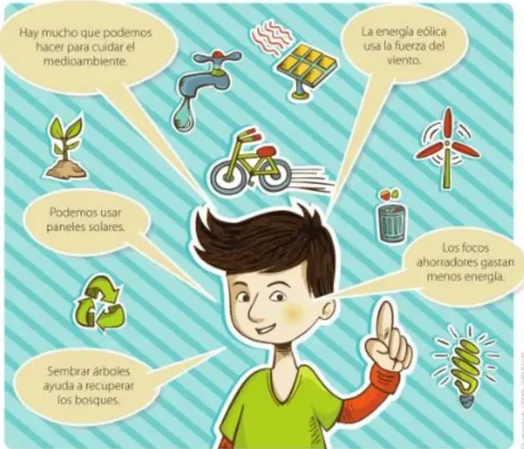 Texto 'Las raíces de las plantas' con foto de planta arrancada.