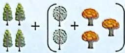 Figura 2 de Matematica · 4 EGB · 2024