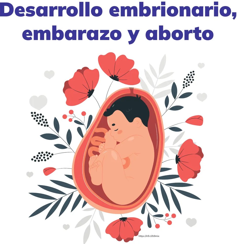Ilustración: silueta ovalada con un feto en posición fetal rodeado por flores rojas (amapolas), hojas verdes oscuras y pequeños corazones grises. URL: https://n9.cl/b9mix.
