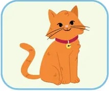 Cuatro recuadros con animales: pájaro, gallina, gato y perro (para el ejercicio de listening).
