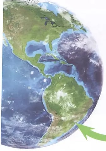 Figura 2 de Ciencias Naturales · 8 EGB · 2025