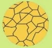 Figura 12 de Ciencias Naturales · 6 EGB · 2025
