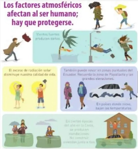 Figura 4 de Ciencias Naturales · 5 EGB · 2024