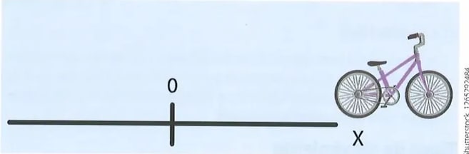 Figura 3 de Ciencias Naturales · 8 EGB · 2025
