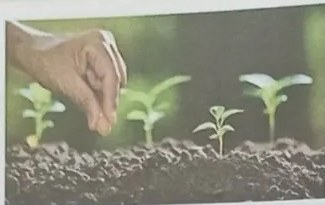 Figura 3 de Ciencias Naturales · 3 EGB · 2024