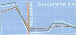 Figura 7 de Ciencias Naturales · 8 EGB · 2025