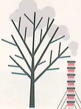 Figura 5 de Ciencias Naturales · 8 EGB · 2025