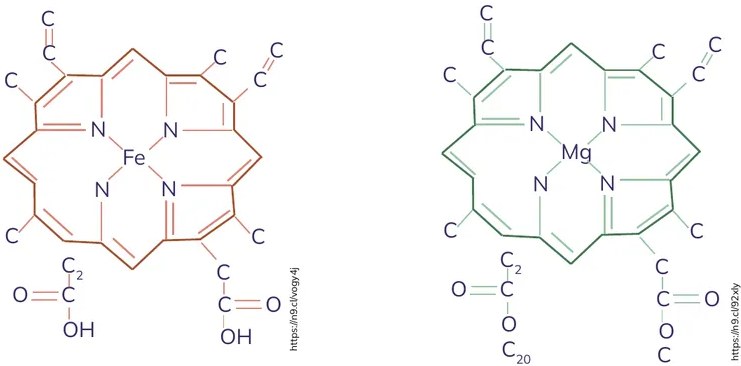 Figura 2 de Quimica · 1ro BGU · 2024
